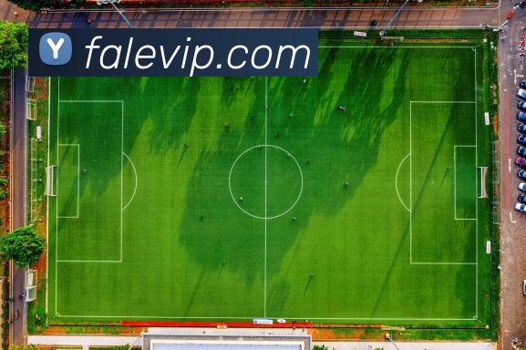 发乐娱乐城官网APP 高清赛事图